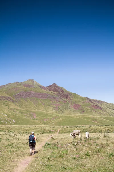 Caminando por los pirineos españoles — Foto de Stock