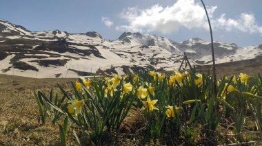 Landscape with green mountains and traditional towns