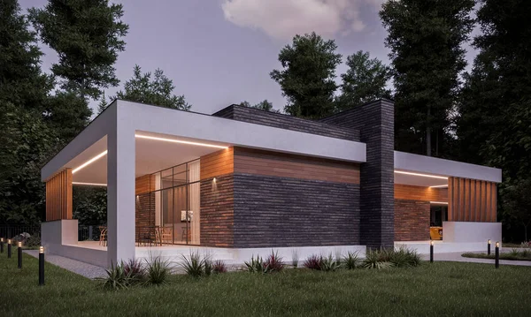 テラスとカーポート付きのモダンな家 3D可視化 家の外だ 近代的な様式の家のファサード — ストック写真