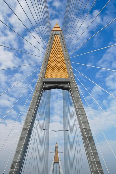 Kabel bridge — Stockfoto