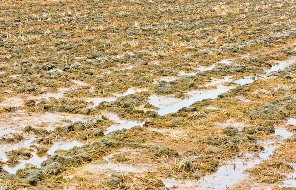 Geploegde grond — Stockfoto