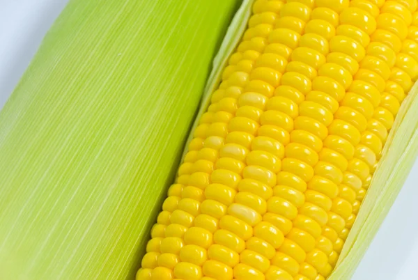 Hojas de maíz — Foto de Stock