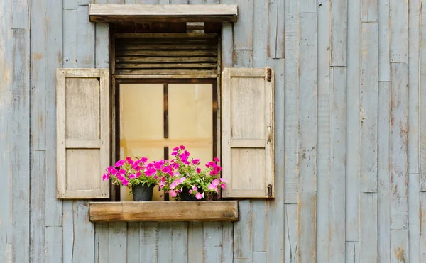 Window with flower pot — Stock Photo, Image