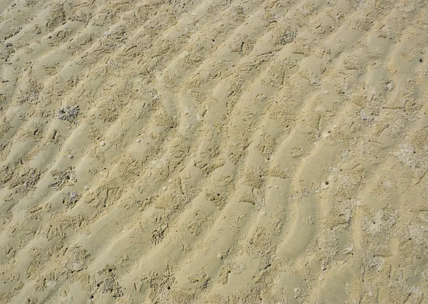 Praia padrão de ondulação de areia e buraco de caranguejo — Fotografia de Stock