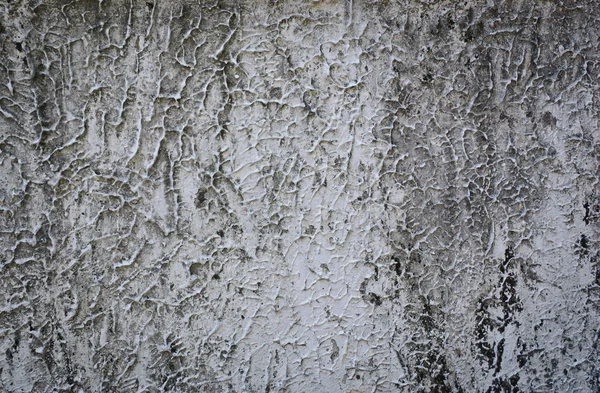 Cement wall background — Stock Photo, Image