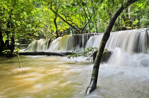 Tropisch regenwoud waterval — Stockfoto