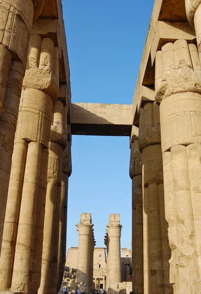 Chrám Luxor, egypt — Stock fotografie