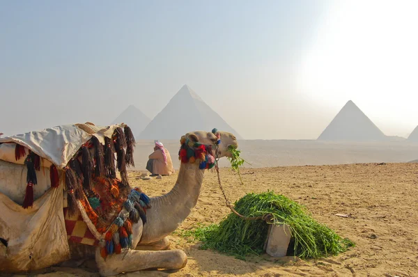 Große Pyramide von Gizeh, Ägypten — Stockfoto