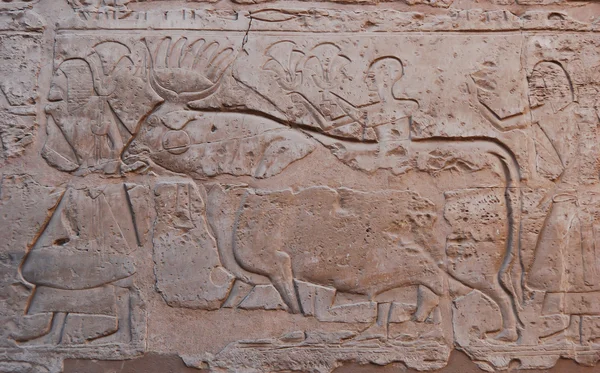 Veggegyptisk relieff – stockfoto