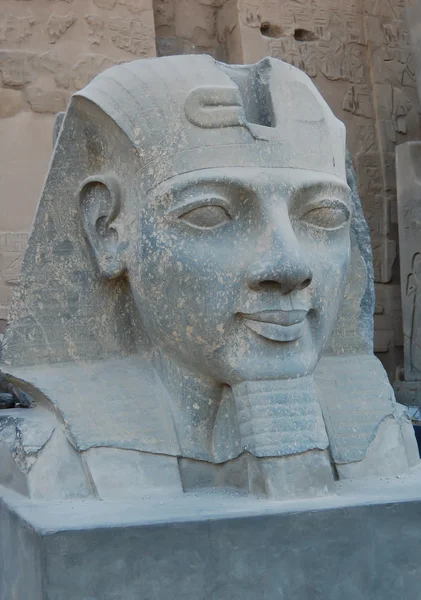 Head statyn av ramses ii — Stockfoto