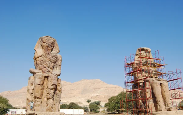 Colossi memnon — Stok fotoğraf