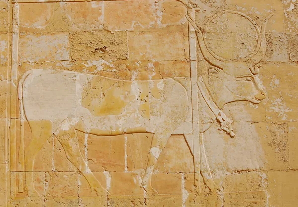 Reliëf van hathor Egyptische god — Stockfoto