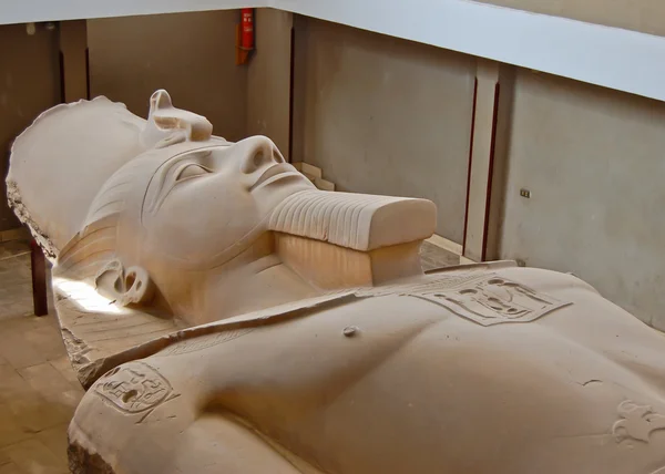 Статуї Рамзеса II — стокове фото