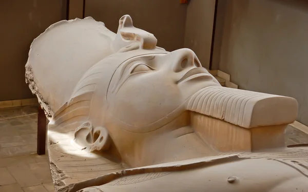 Statue de Ramsès II — Photo
