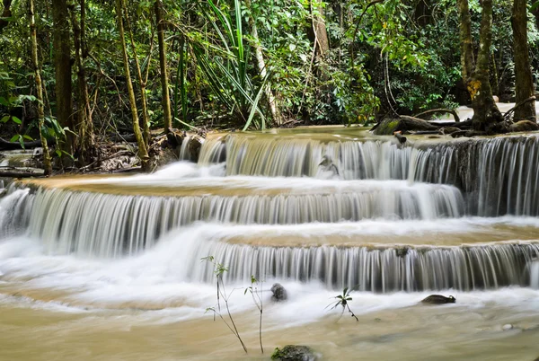 Cascata tropicale della foresta pluviale — Foto Stock