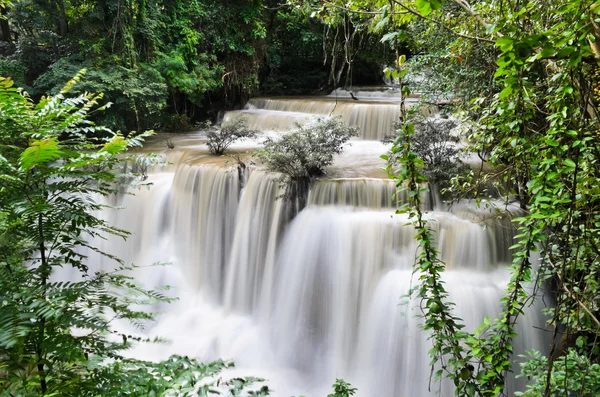 Cascata tropicale della foresta pluviale — Foto Stock