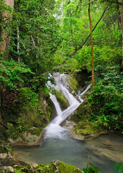 Cachoeira na floresta verde — Fotografia de Stock