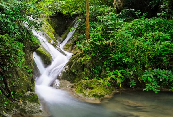 Cachoeira na floresta verde — Fotografia de Stock