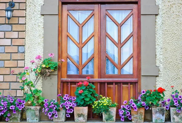 Fenster und Blumentöpfe — Stockfoto