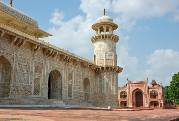 Le bébé Taj — Photo