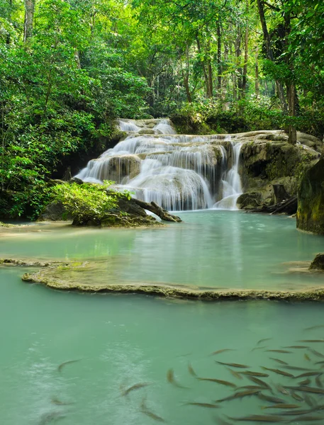 Quedas em cascata — Fotografia de Stock