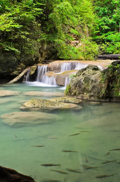 Cascata cai em floresta tropical — Fotografia de Stock