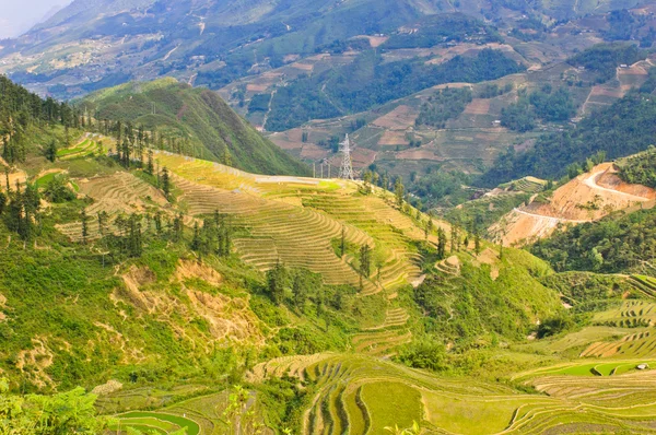 Beautiful cultivation landscape — Stock Photo, Image