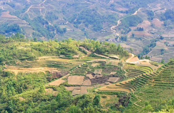 绿色水稻梯田在沙巴，越南 — 图库照片