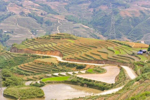 Sapa rijst terrassen veld — Stockfoto
