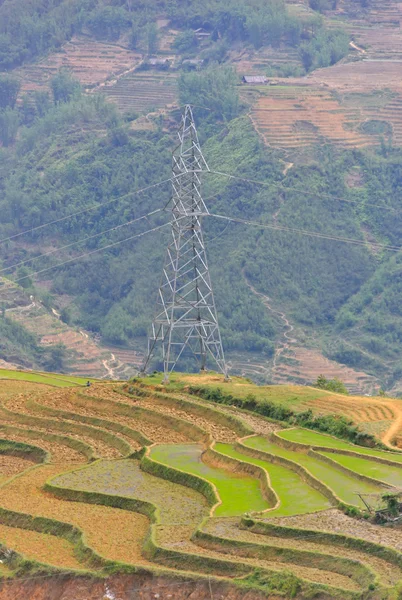 Culturas de arroz Sapa — Fotografia de Stock