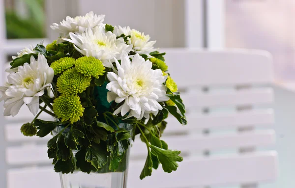 Fleurs de chrysanthème blanc — Photo