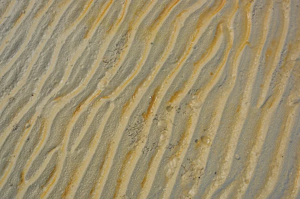 Fundo da praia areia molhada — Fotografia de Stock