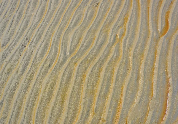 Plage humide sable ondulation — Photo