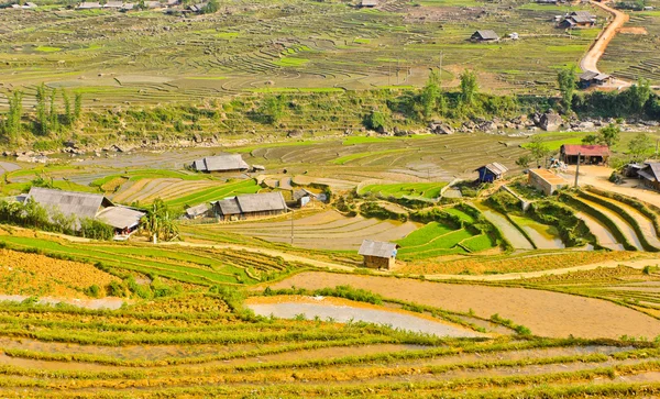 Campos de arroz con terrazas Sapa —  Fotos de Stock