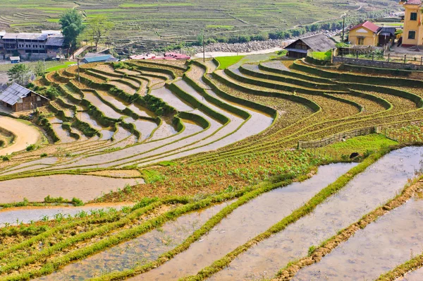 Sapa arroz terraços campos, Vietnã — Fotografia de Stock