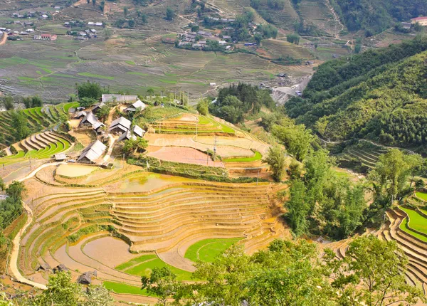 Câmpuri terasate cu orez și satul minoritar Hmong — Fotografie, imagine de stoc