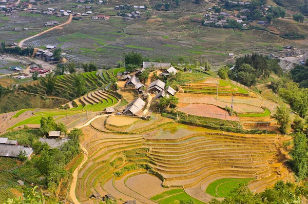 Rice terraced fields in Ta Van village — Stock Photo, Image