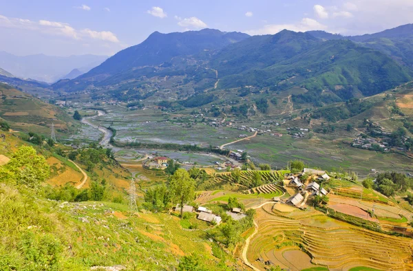 Landschap van terrasvormige rijstvelden — Stockfoto