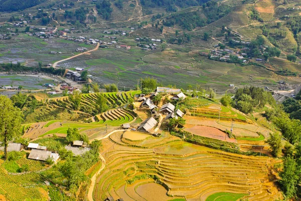 Landskap av terrasserade risfält — Stockfoto