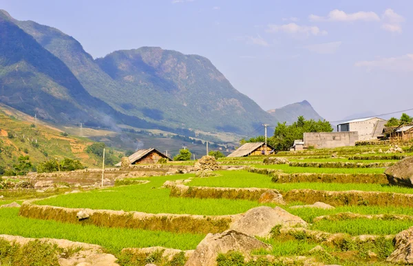 Natursköna av terrasserade risfält — Stockfoto