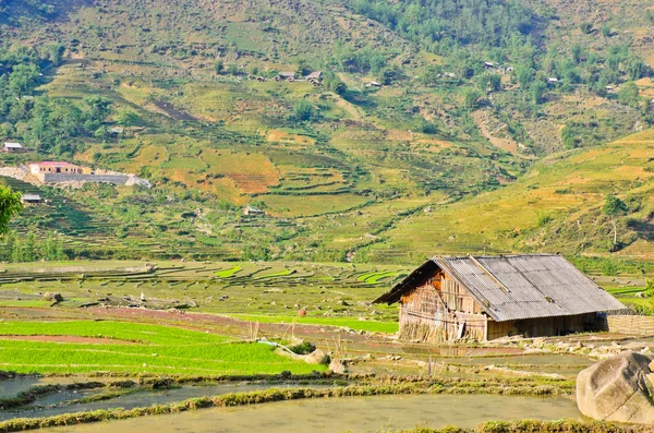 Sapa kırsal görünümü, vietnam — Stok fotoğraf