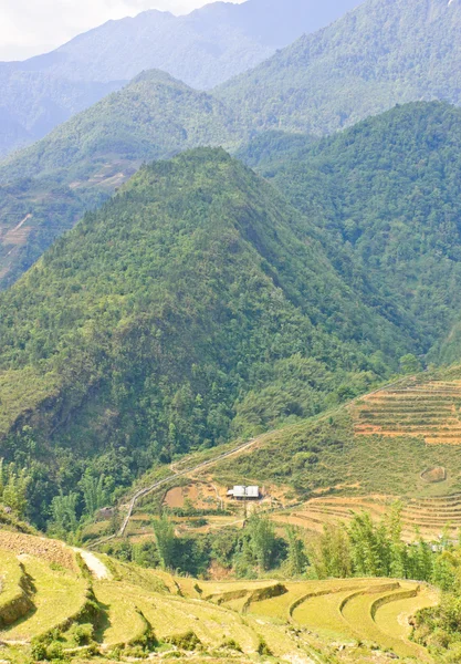 Mountain view sapa highland, vietnam — Stock fotografie