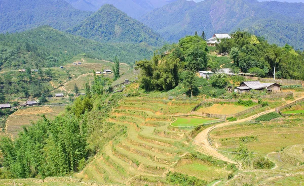 Campo de arroz en terrazas en las tierras altas de Sapa —  Fotos de Stock