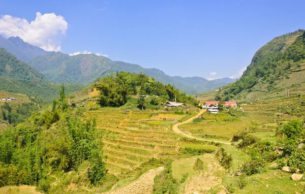 Sapa highland caddesinde pirinç teraslı alan — Stok fotoğraf