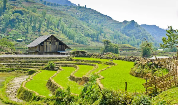 Dřevěná stodola terasovitými poli rýže — Stock fotografie