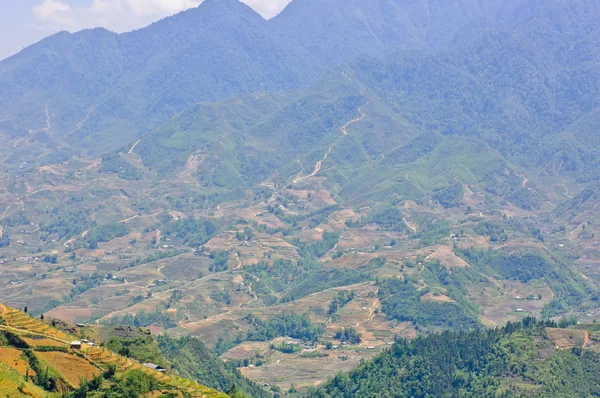 Вид на горы с рисовой террасы — стоковое фото