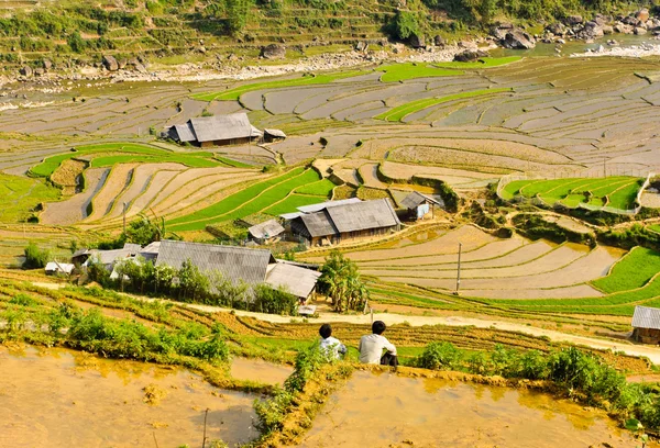 Sapa rijst terrasvormige velden, vietnam — Stockfoto