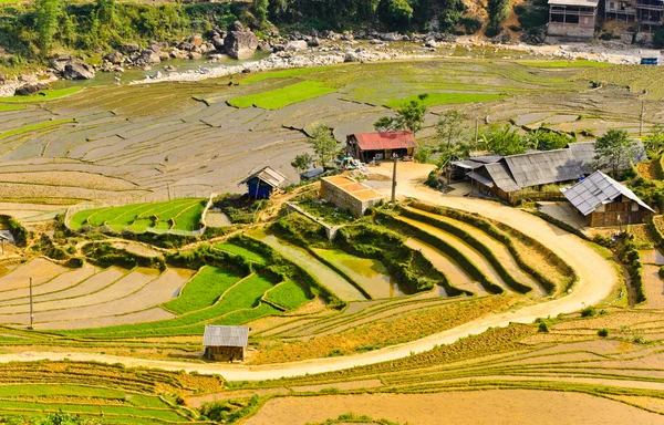 Sapa arroz terraços campos, Vietnã — Fotografia de Stock