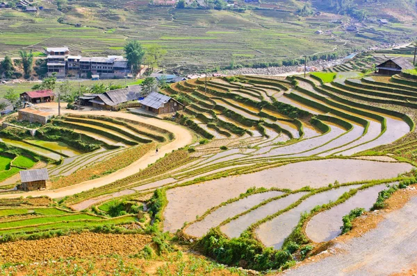 Sapa ris terrasserade fält i hmong minoritet by, vietnam — Stockfoto