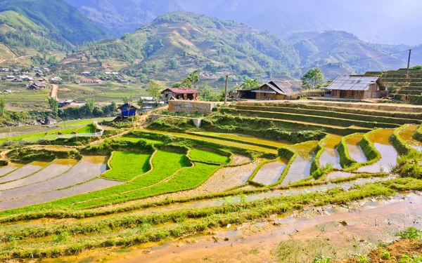 Campos em terraços de arroz vietnamita — Fotografia de Stock